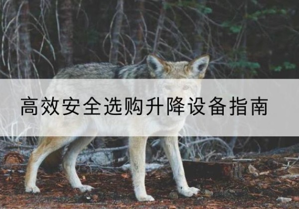 鄂托克旗升降货梯厂家推荐-*安全选购升降设备指南