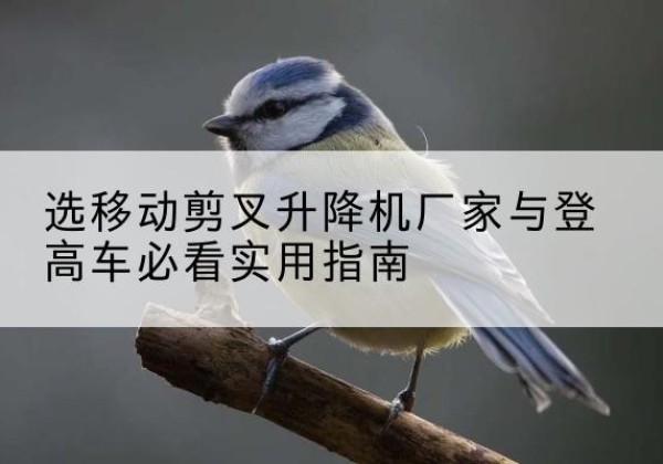 鄂托克旗电动升降机厂家-选移动剪叉升降机厂家与登高车必看实用指南