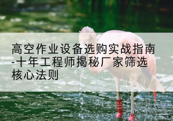 鄂托克旗剪叉式升降机厂家-高空作业设备选购实战指南-十年工程师揭秘厂家筛选核心法则