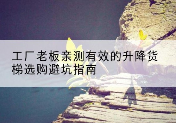 鄂托克旗升降货梯怎么选-工厂老板亲测有效的升降货梯选购避坑指南